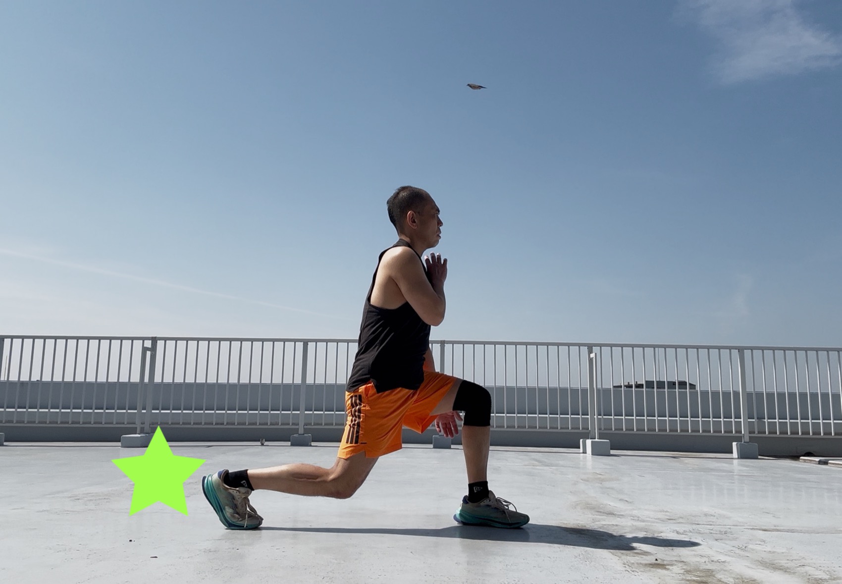 �{�f�B�R���o�b�g106-6,�R���o�b�g3,�R���I,�e�N�j�b�N,�|�C���g